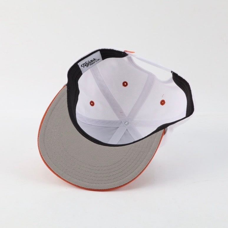 “Longhorn” 6 Panel *Ships week of 10/12*